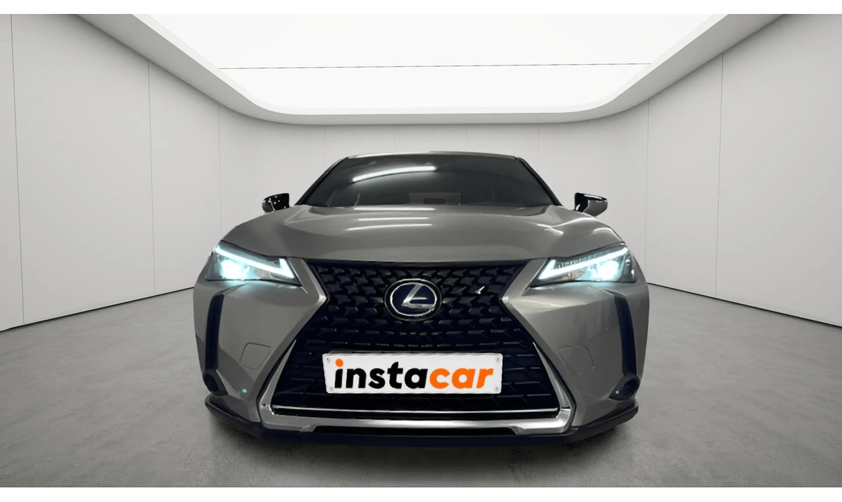 Lexus UX 250 FWD BUSINESS