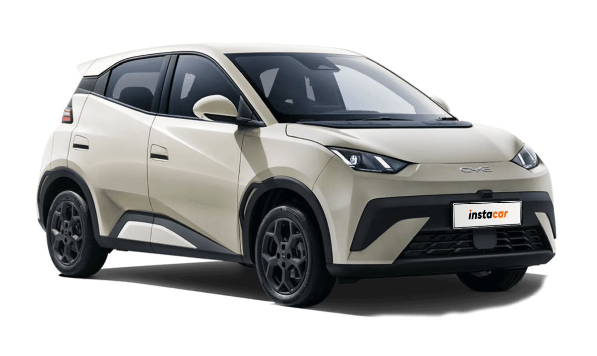 BYD DOLPHIN SURF BOOST