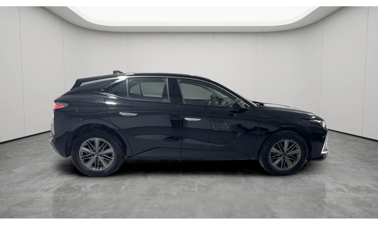 Ds DS4 BUSINESS