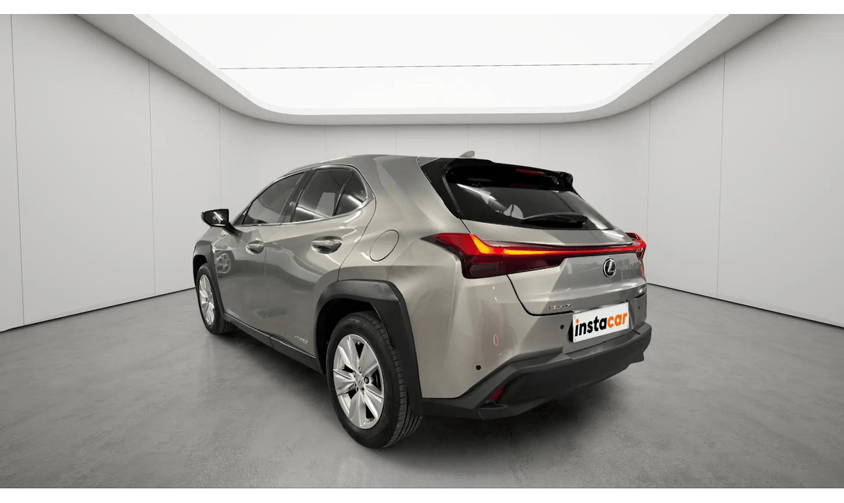 Lexus UX 250 FWD BUSINESS