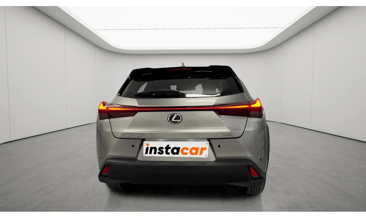 Lexus UX 250 FWD BUSINESS