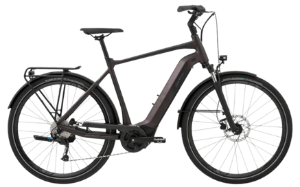 GIANT ANYTOUR E+3GTS