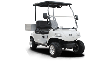 EVOLUTION TURFMAN 450 -