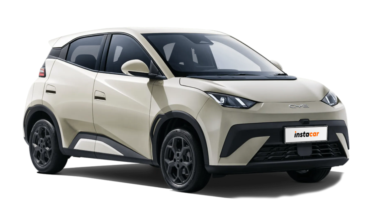 byd dolphin-surf